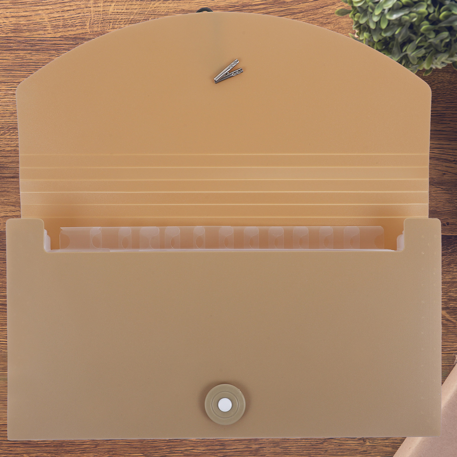 Organizador de carpetas con 13 - Expandable Accordion File Folder 13 Pockets reseña y precio
