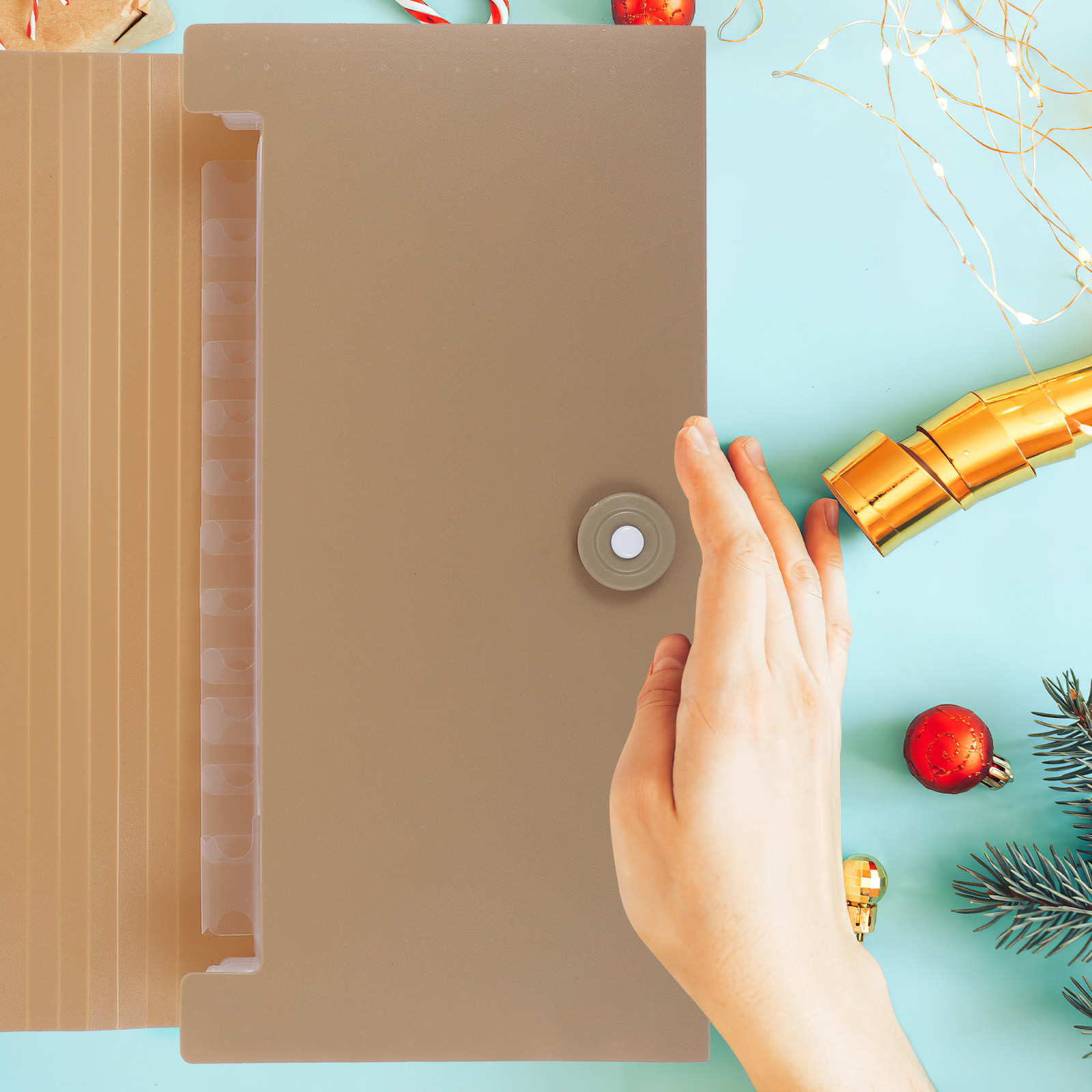 Carpeta de archivo extensible  - Expandable Accordion File Folder 13 Pockets reseña y precio